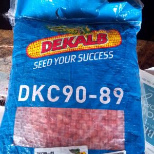 product-grid-gallery-item DKC90-89 Hybrid Maize 2Kg | High-Yield Medium Maturity Seed