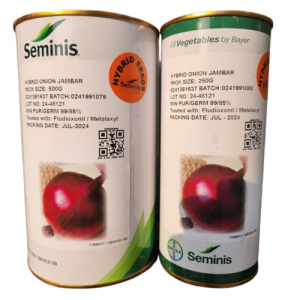 Buy Jambar F1 Hybrid Onion Seeds - Early Maturing Red Onion | 90 Days | 6 Month Shelf Life