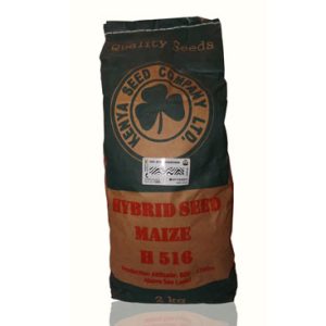 Maize - Lowland, Medium Altitude & Transition Varieties in Kenya | High-Yield Hybrid Maize Seeds