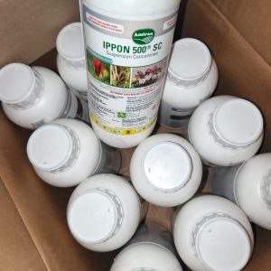 IPPON 500 SC Fungicide | Botrytis & Alternaria Control
