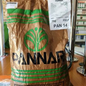 Yellow Maize PAN 14 | High-Yield Hybrid Maize Seed Kenya