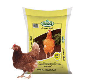 FUGO Grower Mash 50Kg | Poultry Feed for Faster Growth & Strong Bone Structure